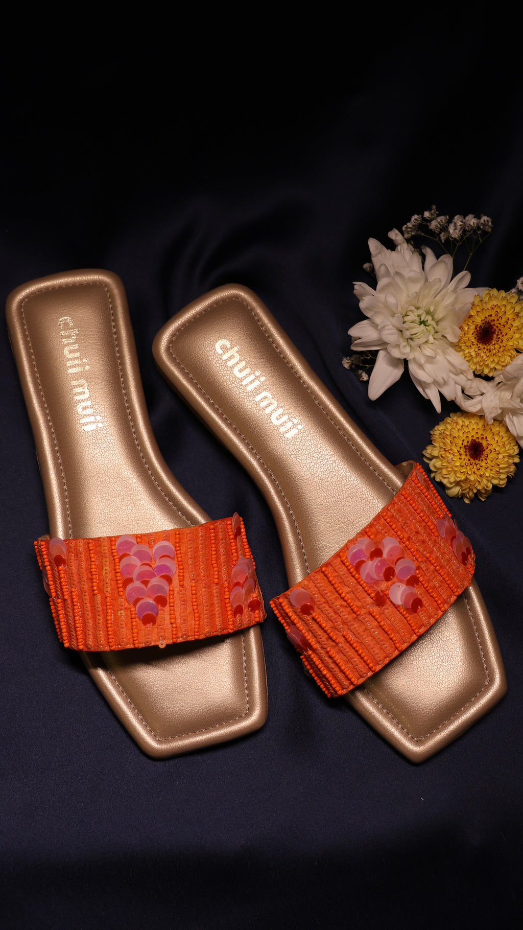 Coral Carnival Slider