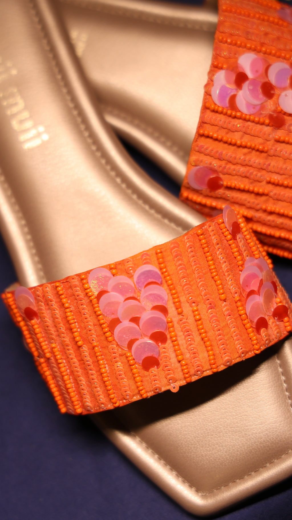 Coral Carnival Slider